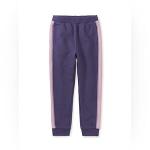 Purple and Pink Kids Jogger Pants